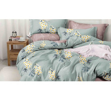 Постельное белье евростандарт Pure Cotton 192-PC