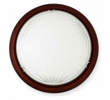 Накладной светильник TopLight Wifa TL9144Y-02PO