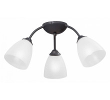 Потолочная люстра Vitaluce V3184 V3737-2/3PL