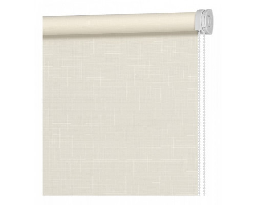 Штора рулонная (60x160 см) Апилера