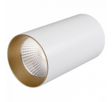Накладной светильник Arlight Sp-polo-r85 SP-POLO-R85-1-15W Day White 40deg (White, Gold Ring)