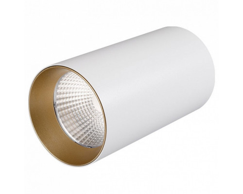 Накладной светильник Arlight Sp-polo-r85 SP-POLO-R85-1-15W Day White 40deg (White, Gold Ring)