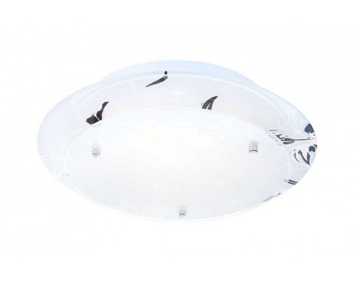 Накладной светильник Globo Claire 48077