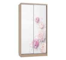 Шкаф-купе Рио 7-600 17