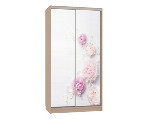 Шкаф-купе Рио 7-600 17