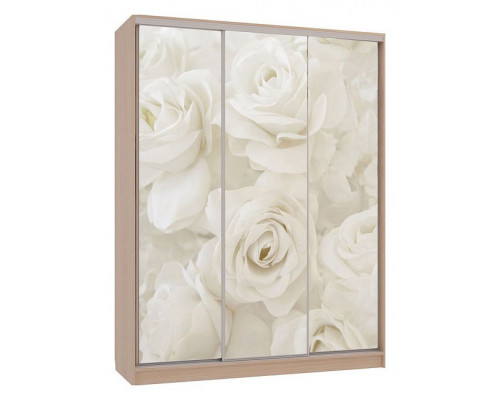 Шкаф-купе Бассо 7-600 розы