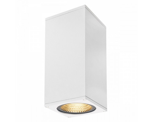 Накладной светильник SLV Big Theo 234501