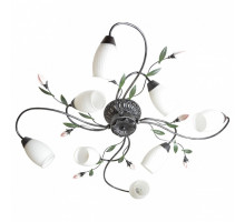 Потолочная люстра MW-Light Верона 11 334013608
