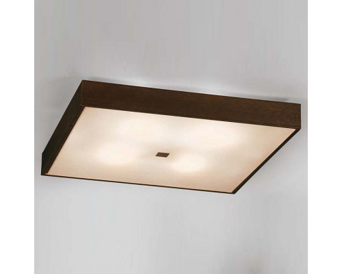 Накладной светильник Citilux Кваттро