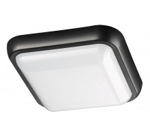 Накладной светильник Novotech Opal 357511