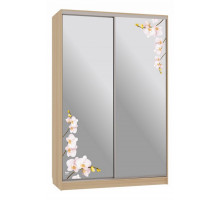 Шкаф-купе Гранд 4-600 орхидеи