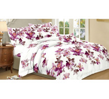 Постельное белье семейное Art Color 022-AC