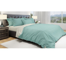 Постельное белье евростандарт Eco Cotton Dots