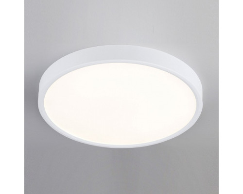 Накладной светильник Elektrostandard DLR034 a043016