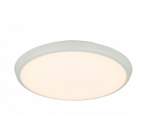 Накладной светильник Globo Aemon 32109S