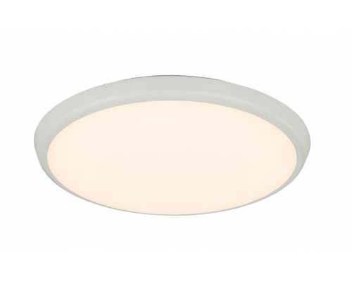 Накладной светильник Globo Aemon 32109S