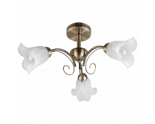 Люстра на штанге TopLight Magdalene TL3490X-03AB