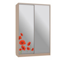 Шкаф-купе Гранд 4-600 маки