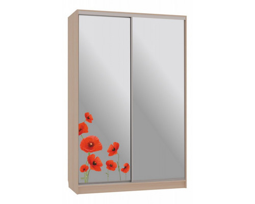 Шкаф-купе Гранд 4-600 маки