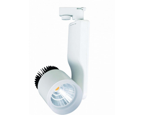 Светильник на штанге Horoz Electric Paris-33