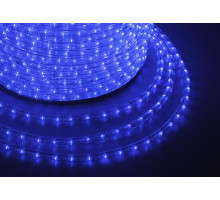 Шнур световой [100 м] NN-LED-2W 121-123-6