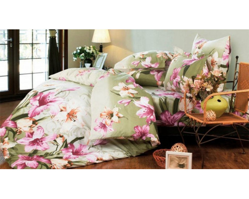 Постельное белье евростандарт A-124