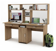 Стол компьютерный Лайт-10Я СН