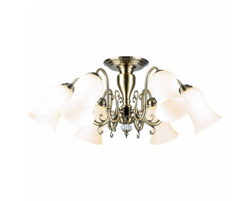 Люстра на штанге Lussole Anaheim