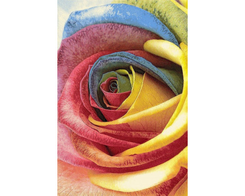 Ковер интерьерный (240x340 см) Hunnu